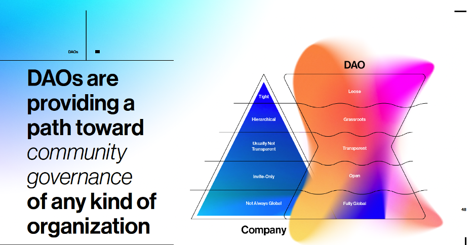 DAO vs Company